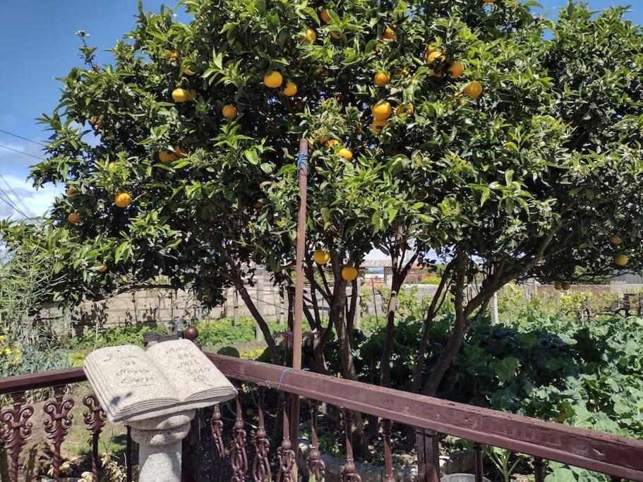 Apartamento En San Vicente De O Grove Esterno foto